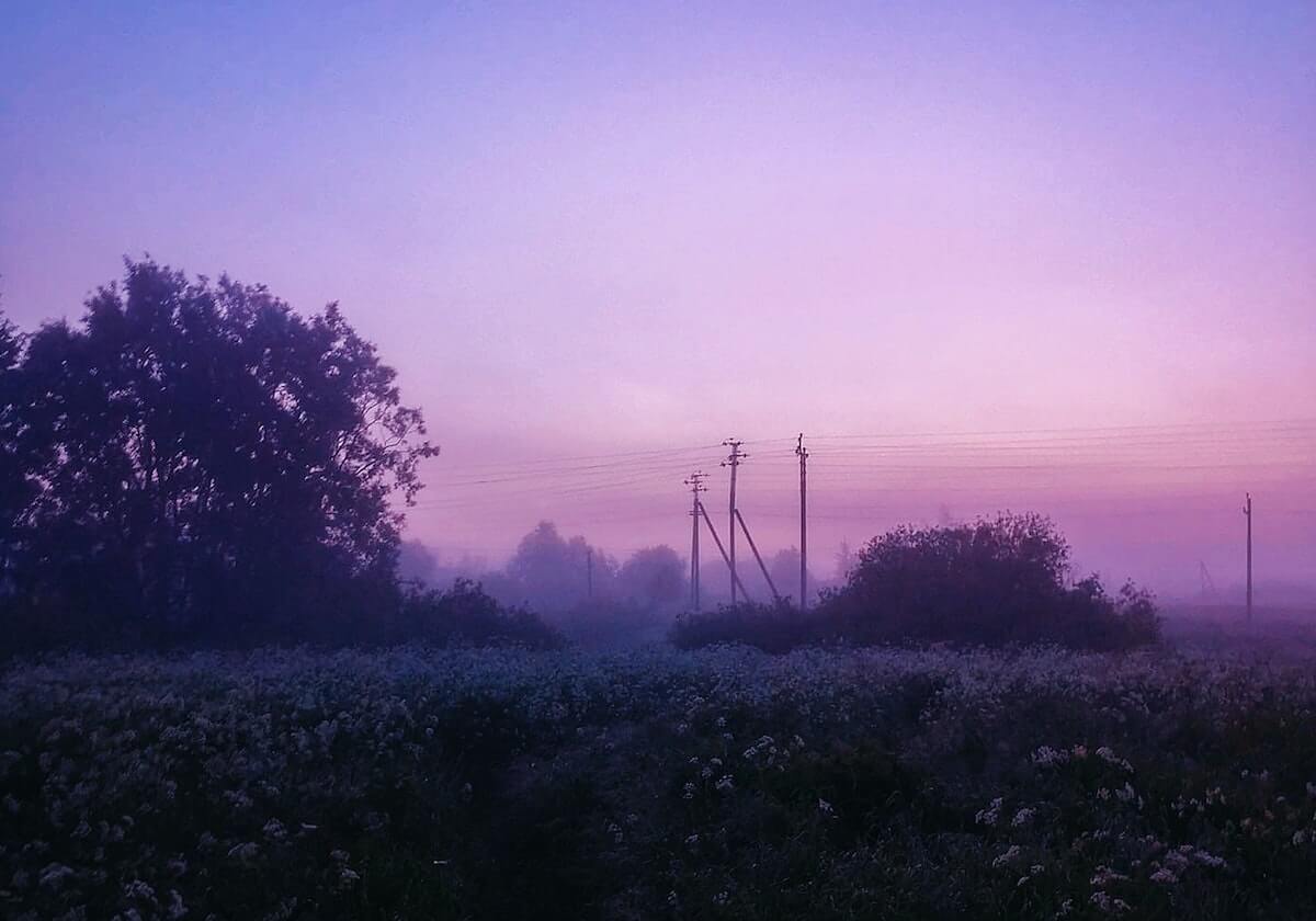 乐鱼体育首页：开启你的一站式体育盛宴